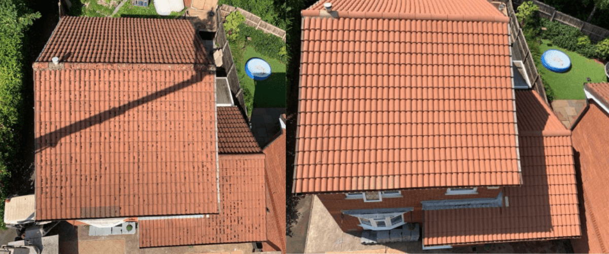 Roof Cleaning & Moss Treatment